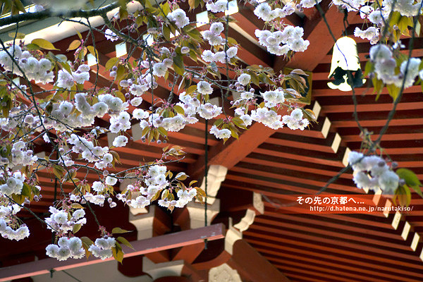 f:id:narutakiso:20130506083820j:image