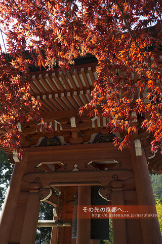 f:id:narutakiso:20130506085124j:image