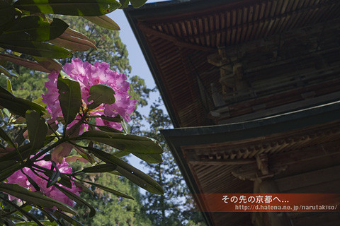 f:id:narutakiso:20130506085711j:image