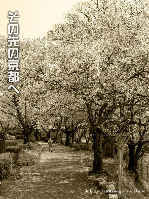 f:id:narutakiso:20180402111729j:image f:id:narutakiso:20180402111729j:image