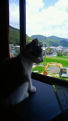 f:id:narutakix:20200714120109j:plain