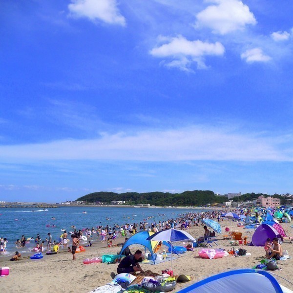 f:id:narutein:20190908021546j:plain f:id:narutein:20190908021546j:plain