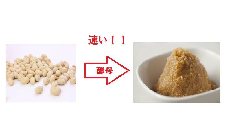 触媒とは わかりにくい触媒についてわかりやすく説明してみる なるトク おとメの雑記ブログ