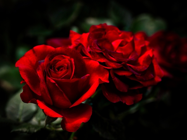 f:id:naruyama:20200214002012j:plain