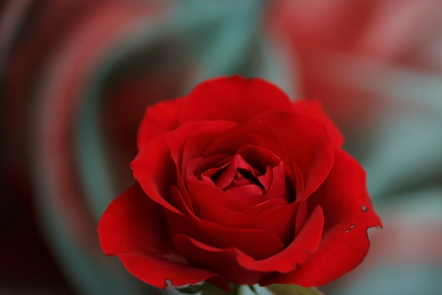 f:id:naruyama:20200601220927j:plain