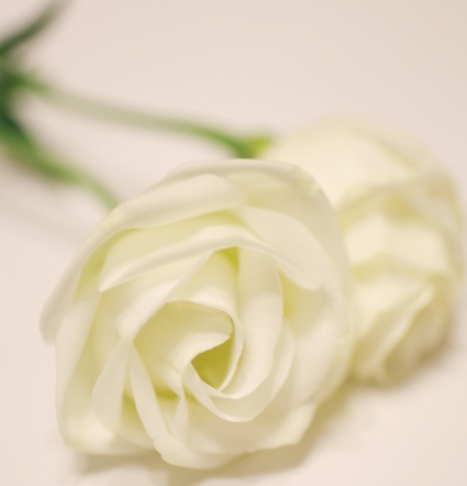 f:id:naruyama:20211216154629p:plain