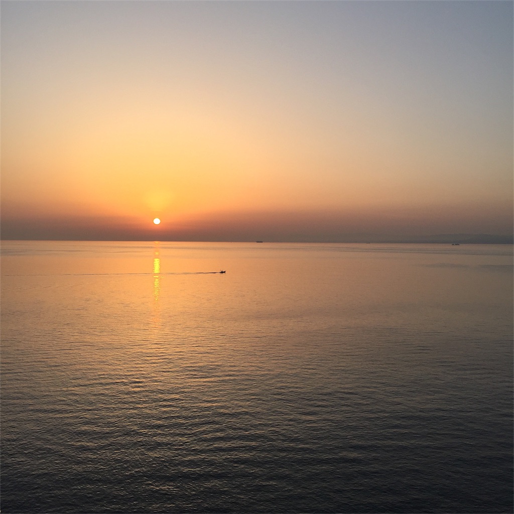 f:id:naruyat22:20190521114903j:image f:id:naruyat22:20190521114903j:image