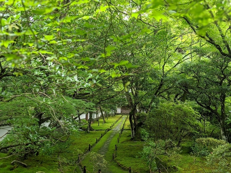 f:id:nase-naru:20200716202609j:image