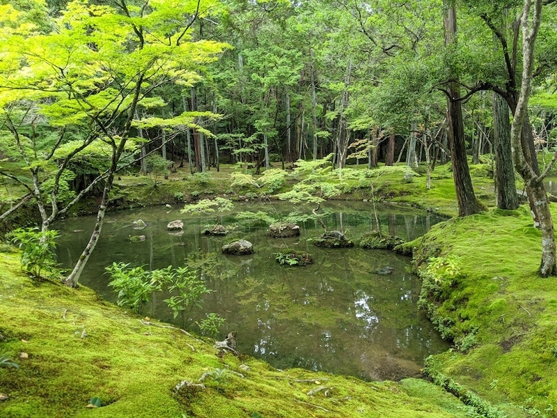 f:id:nase-naru:20200716202635j:image
