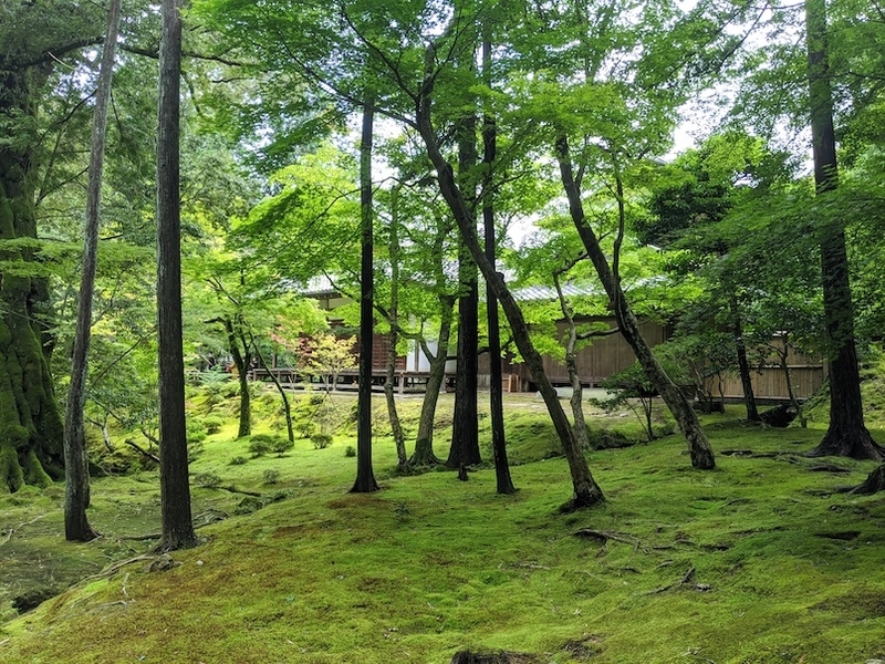 f:id:nase-naru:20200716202704j:image