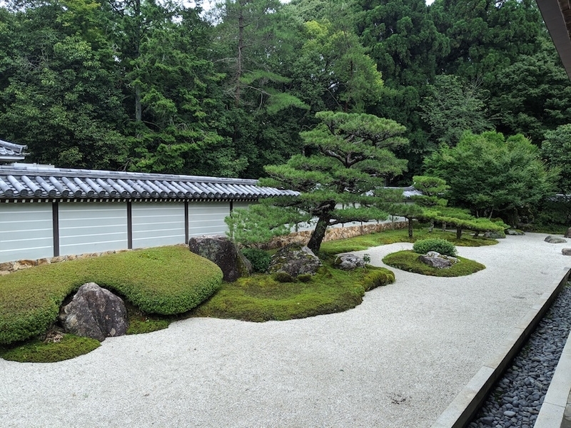 f:id:nase-naru:20200716202709j:image