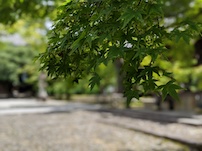 f:id:nase-naru:20200718130015j:image