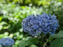 f:id:nase-naru:20200718130019j:image