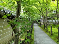 f:id:nase-naru:20200718130116j:image