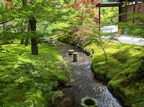 f:id:nase-naru:20200718130122j:image