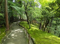 f:id:nase-naru:20200718130153j:image