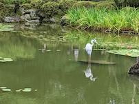f:id:nase-naru:20200718130233j:image