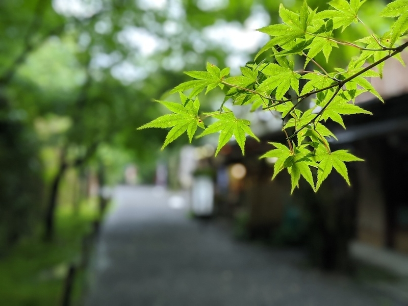 f:id:nase-naru:20200726165236j:image