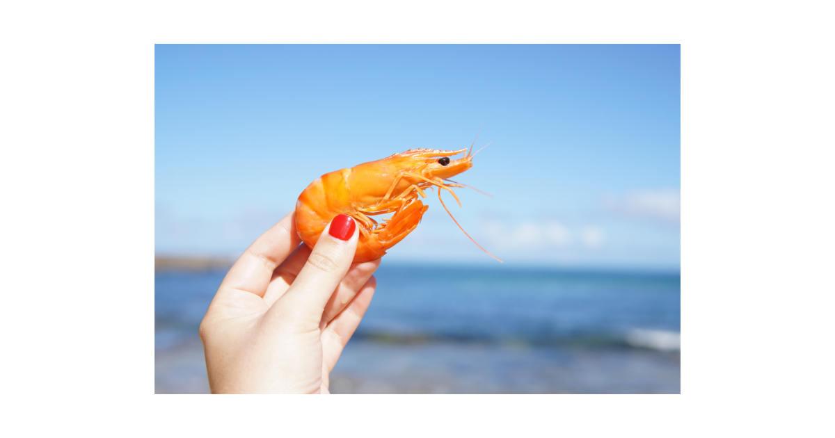 ブラックタイガーとバナメイエビの違いわかりますか なしぶろぐ