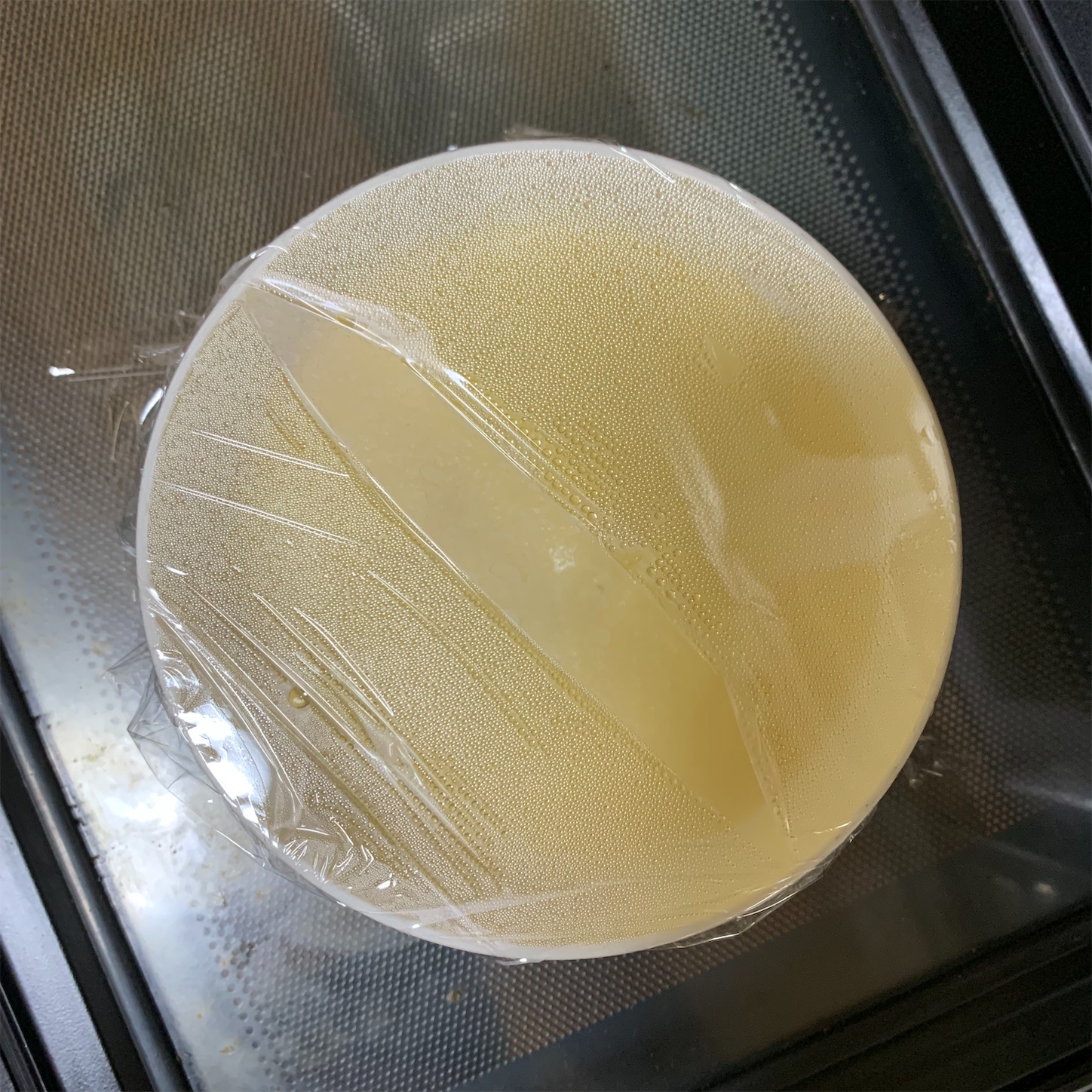 f:id:nashicoo:20190705150038j:image