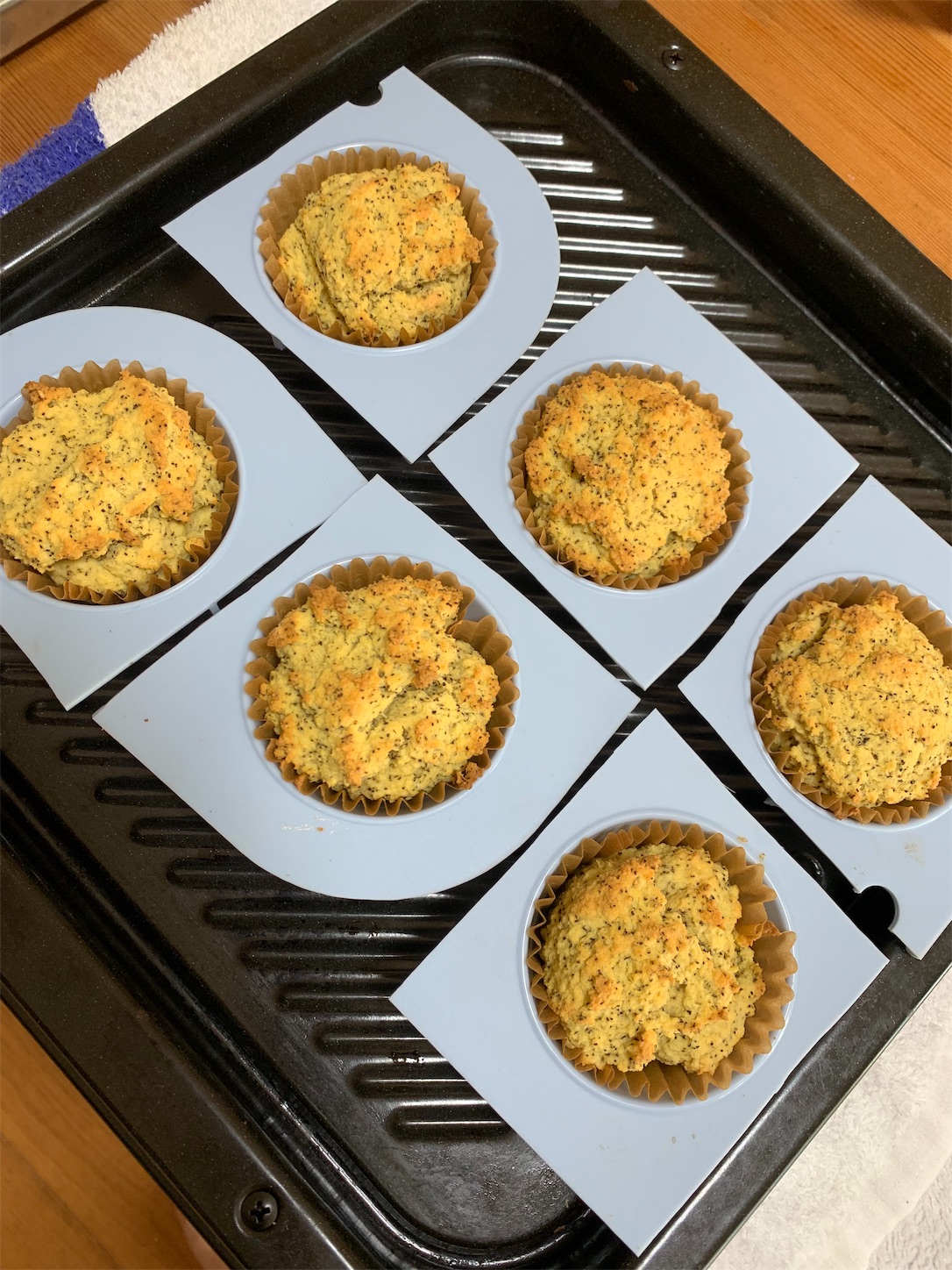 f:id:nashicoo:20190802130041j:image