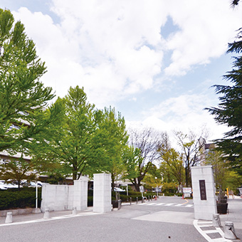 f:id:nashikura-23:20210315230625p:plain