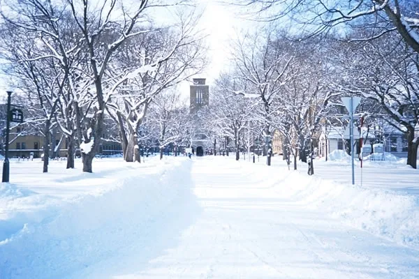 f:id:nashikura-23:20210315230956p:plain