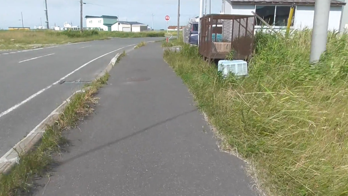 f:id:nashio334:20210102234136p:plain