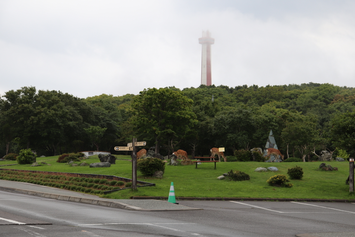 稚内公園の鹿