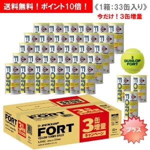硬式テニスボールの売り場と安い店はどこ 激安を紹介 アラサー主婦さちこのテニスブログ
