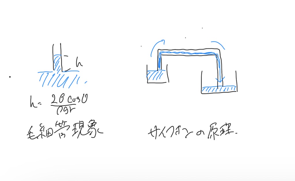 f:id:nashuto:20230815220412j:image f:id:nashuto:20230815220412j:image