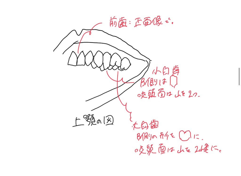 f:id:nashuto:20230831222318j:image f:id:nashuto:20230831222318j:image
