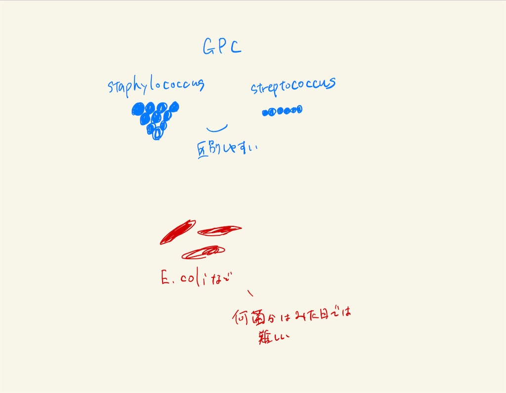 f:id:nashuto:20240221152231j:image f:id:nashuto:20240221152231j:image