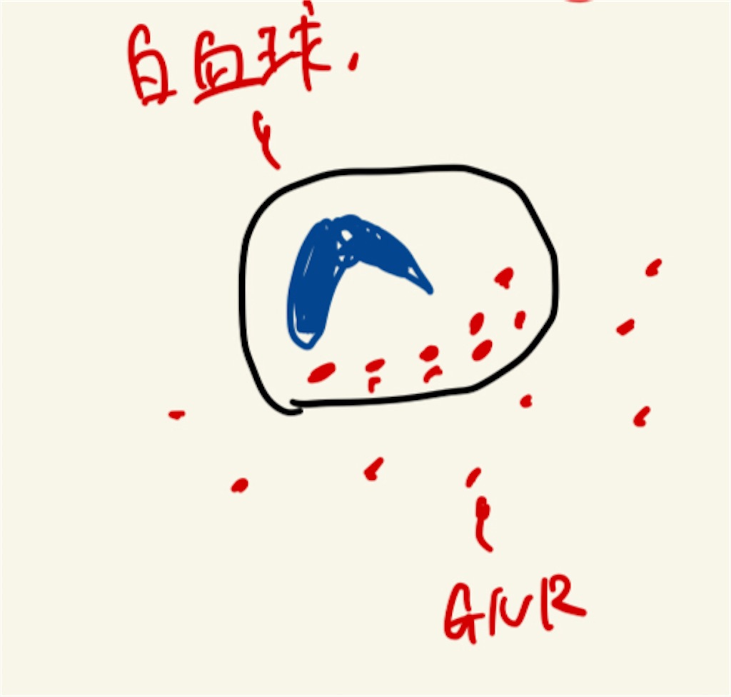 f:id:nashuto:20240221225651j:image f:id:nashuto:20240221225651j:image