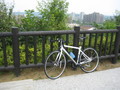 [自転車]GIANT TCR