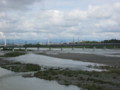 [風景]関戸橋から上流を望む