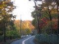 [風景]多摩湖