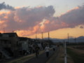 [風景]多摩川サイクリングロード