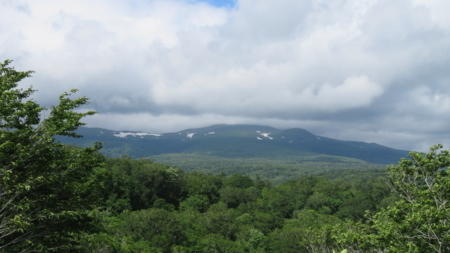 f:id:naskin:20170611185238j:image f:id:naskin:20170611185238j:image