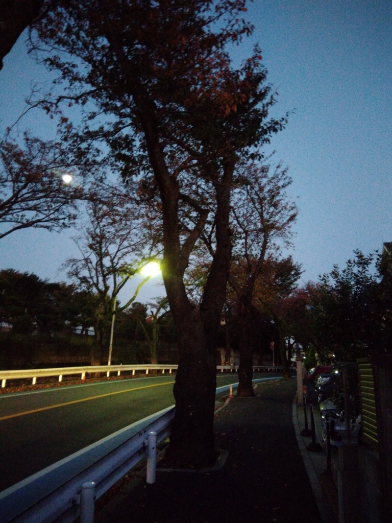 f:id:nassttss:20171106065704j:plain