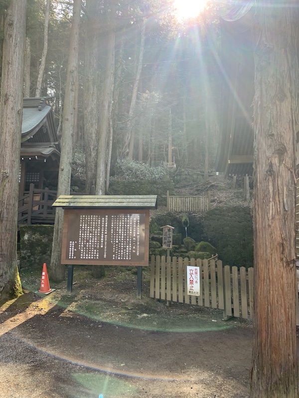 f:id:nastokyo:20200222082714j:plain f:id:nastokyo:20200222082714j:plain