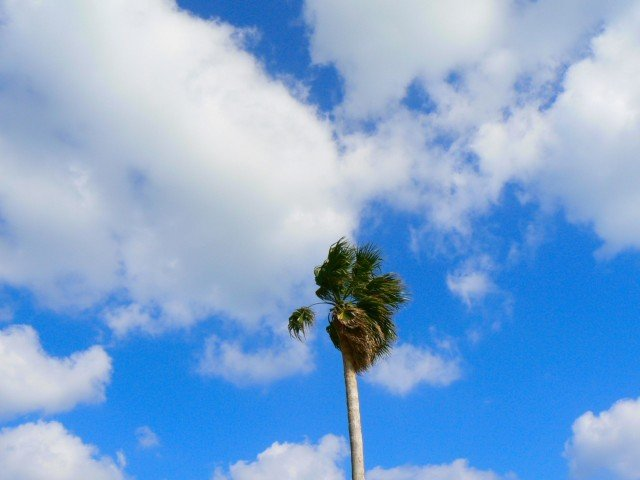 Dv男性の暴力って治るの 夏子占い Dv 離婚問題で悩んでいるアナタをタロット占いで幸せに導きます