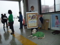 f:id:nasubi366:20100402110557j:image