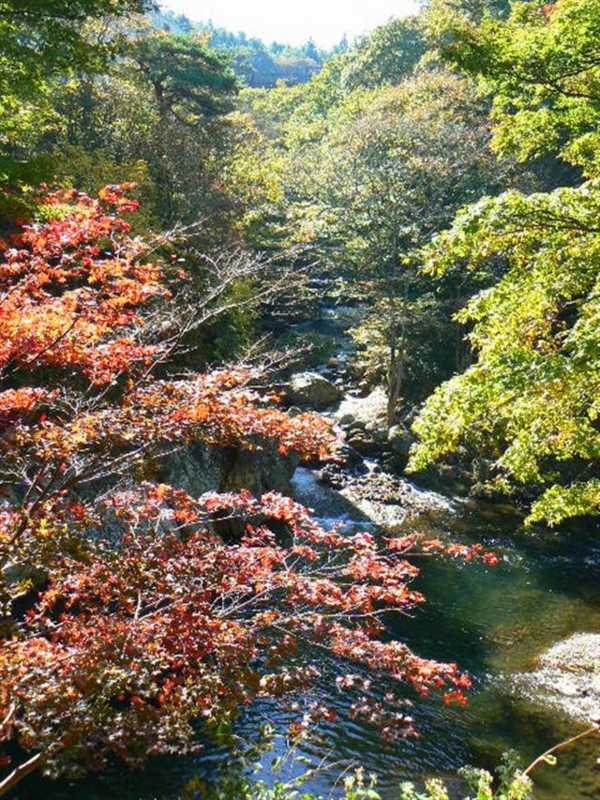 f:id:nasuchari:20111117205414j:image f:id:nasuchari:20111117205414j:image