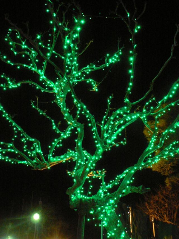 f:id:nasuchari:20111218213741j:image