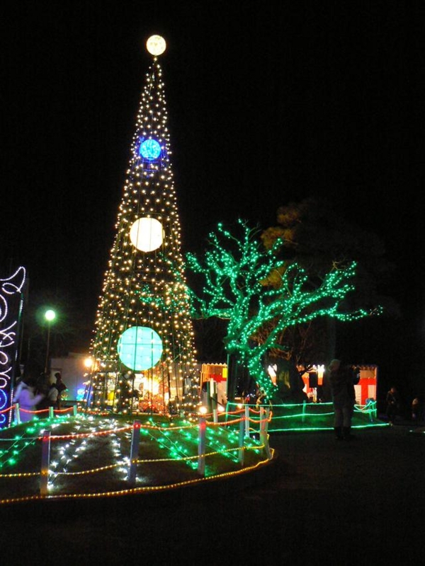 f:id:nasuchari:20111218213742j:image
