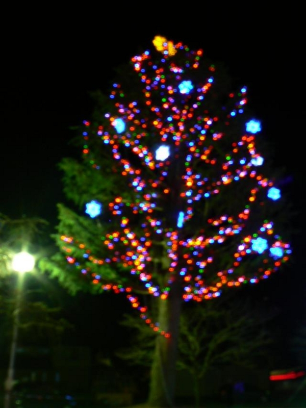 f:id:nasuchari:20111218213745j:image