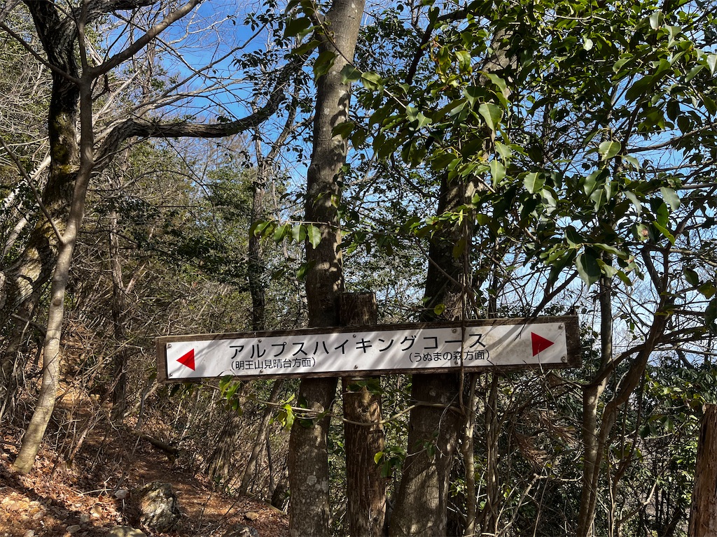 f:id:nasuko7:20230319155238j:image