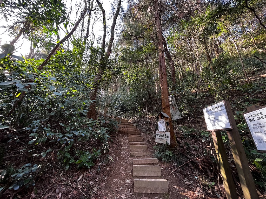 f:id:nasuko7:20230319155402j:image