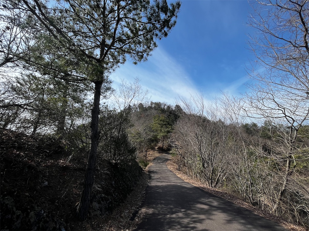 f:id:nasuko7:20230319155423j:image